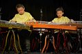 10.22.2016 - Alice Guzheng Ensemble 14th Annual Performance at James Lee Community Theater, VA(25)